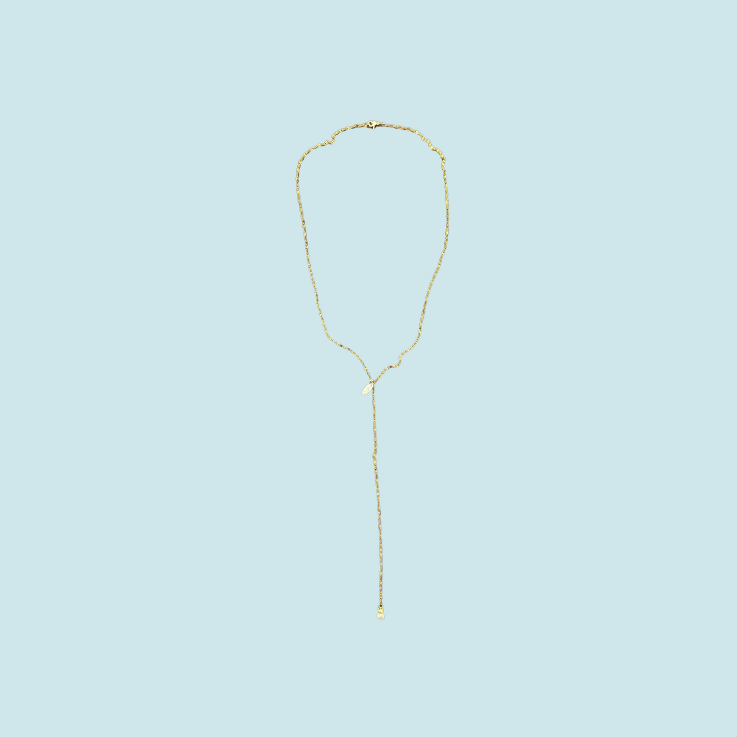 Lariat bear necklace