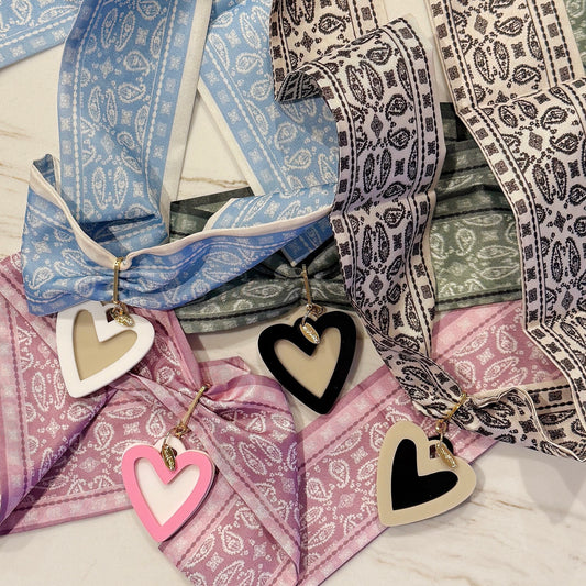 Pañoleta acrylic Necklace