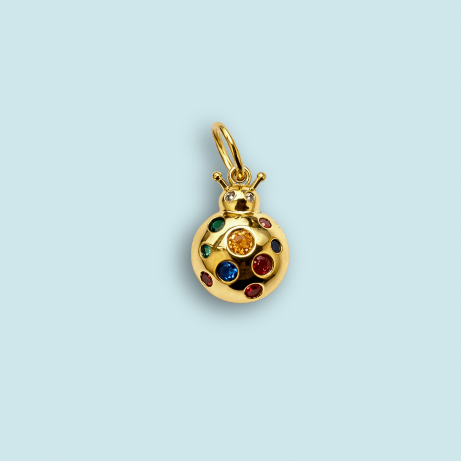 Lady Bug Charm
