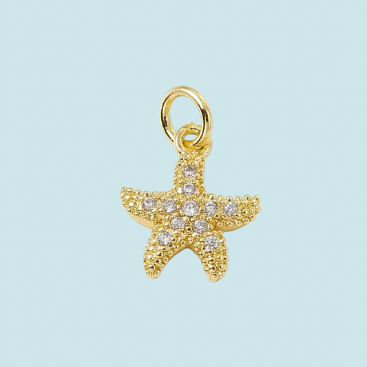 STAR CHARM