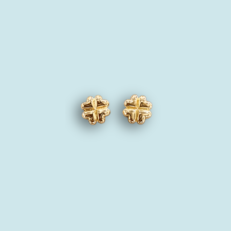 Amuleto earrings 🇧🇷💧