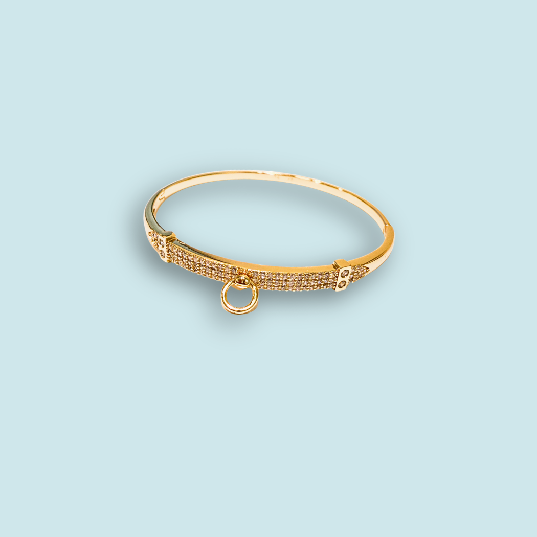 Shiny Charm Bracelet